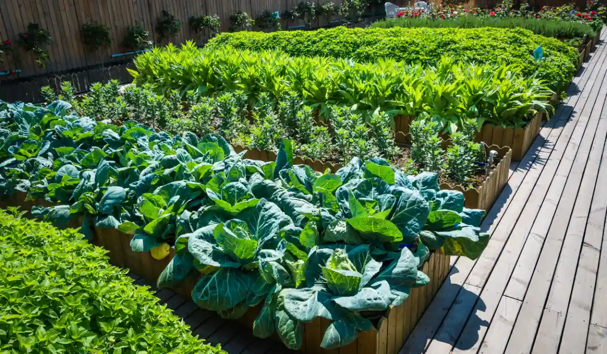 Sloped Vegetable Garden: Complete Guide to Design, Build, and Grow